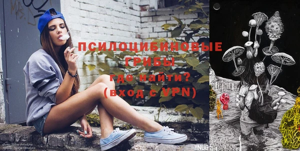 ешки Абаза
