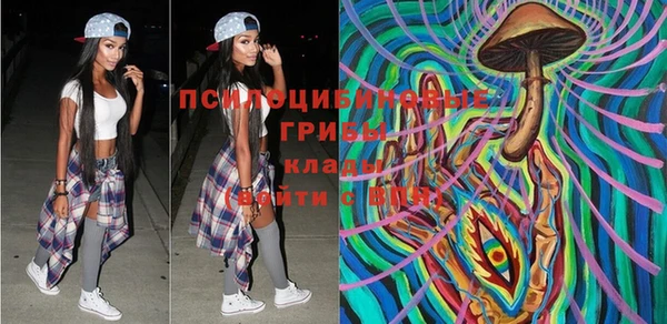 ешки Абаза