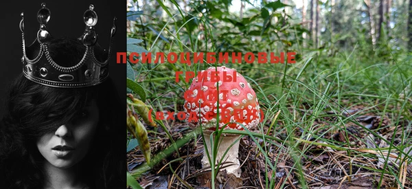 ГАЛЛЮЦИНОГЕННЫЕ ГРИБЫ Абдулино