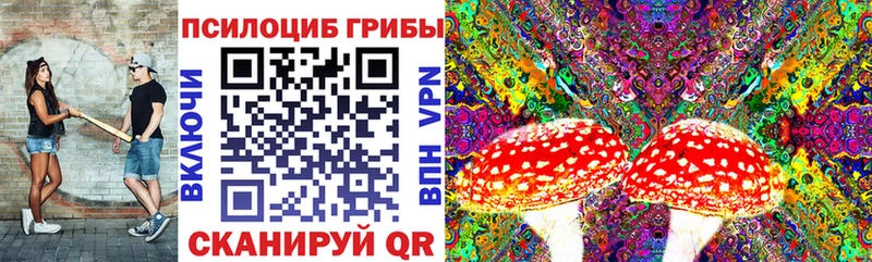 Псилоцибиновые грибы мицелий  Усть-Кут 
