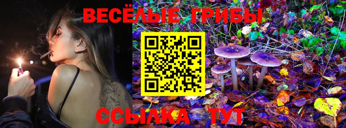 Усть-Кут  Галлюциногенные грибы Magic Shrooms  Псилоцибиновые грибы ЛСД  Вход с VPN 